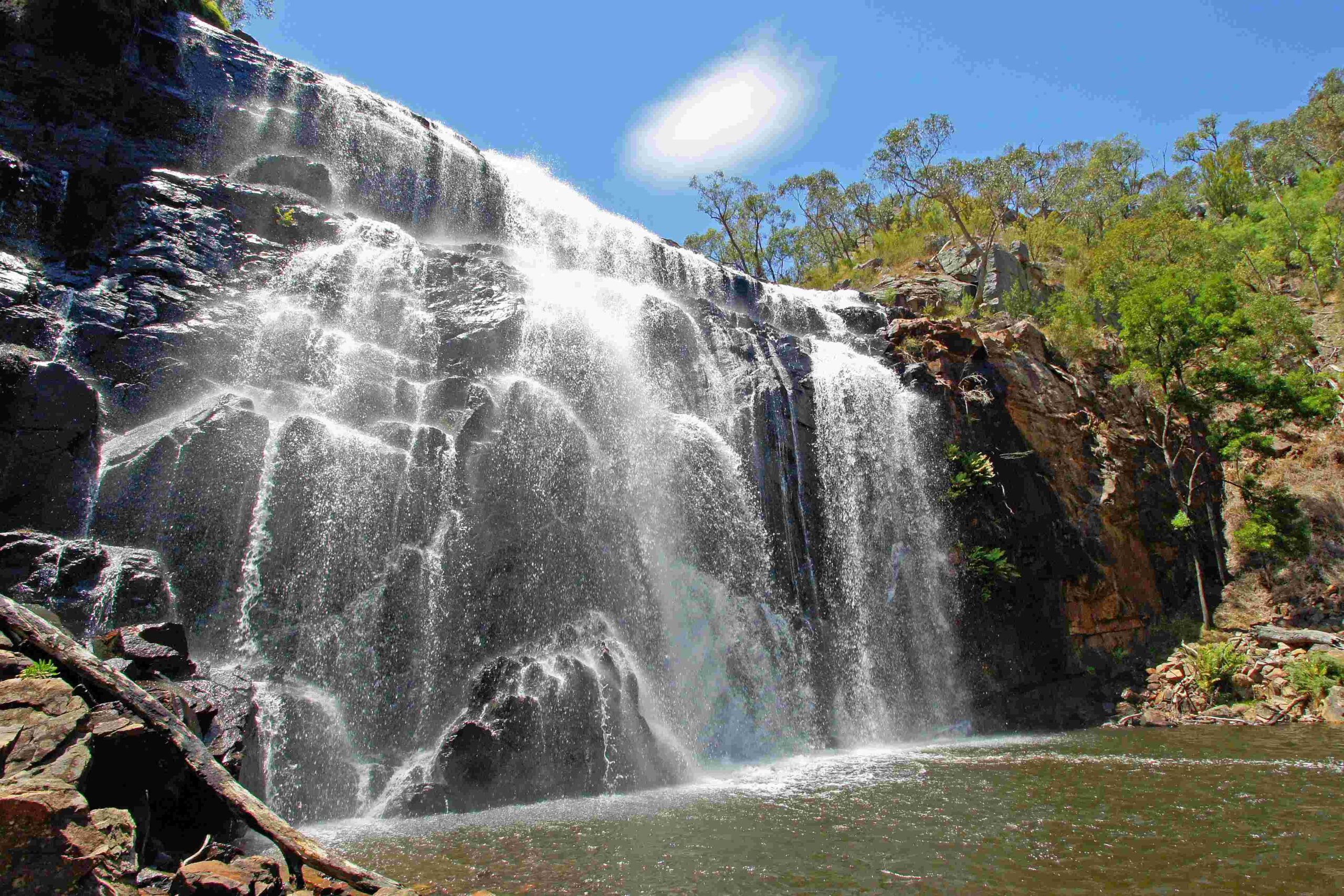 yarra valley tour from melbourne